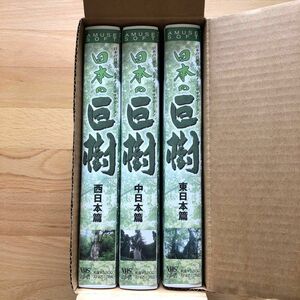 VHS 日本の巨樹 悠久の時が織なす大自然のやすらぎ 映像と音楽で巡る巨樹探訪 日本の自然美 ネイチャー リラクゼーション ビデオ