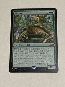 開花の亀 WOE エルドレインの森　MTG