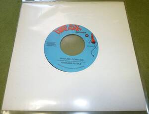 AKWAABA PEOPLE / WHAT AM I GONNA DO / NEED SOMEBODY (7')