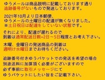 MD【V02-044】【送料無料】東方二次創作同人アニメ 夢想夏郷1新装版/中原 麻衣/沢城 みゆき/藤村歩/同人アニメ_画像4