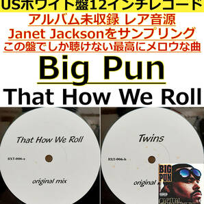 即決送料無料【アルバム未収録この盤でしか聴けないレア音源】Big Punisher - That How We Roll / Janet Jacksonサンプングのメロウな曲