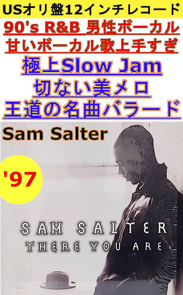 即決送料無料【USオリ盤12インチレコード】Sam Salter - There You Are('97年)(73008-24322-1)極上Slow Jam王道の名曲バラード切ない美メロ