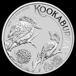 [ written guarantee * capsule with a self-starter ] 2023 year ( new goods ) Australia [kka rose *wa Leica wa semi ] original silver 1 ounce silver coin 