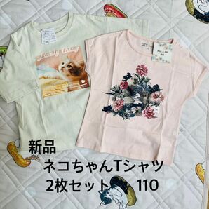 新品　ネコちゃんTシャツ2枚組　　ユニクロ　Paul&JOE 110