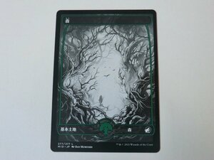 MTG 美品 【フルアートの森(277/277)】 （コモン） MID 日 6枚迄