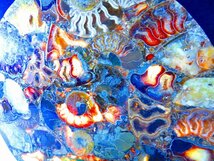 数万個の中の一個★天然マダガスカル産 ★ 縫合線オパールアンモナイト 化石標本超巨大768ｇ★260ｍｍ★tｋ688_画像6