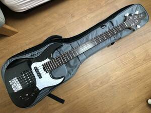 送料無料 ESP AMAZE + HALIBUT + LAKLAND 24フレット オーダー 5弦