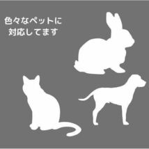 伸縮リード 犬用 緑 グリーン 自動巻き取り ロック付き 5ｍ 散歩 ペット用品_画像4