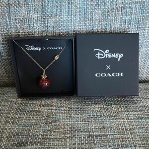 コーチ　COACH ディズニー コラボ　ポイズン アップル ネックレス