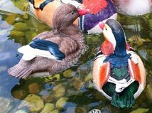 LDL415# ガーデンオーナメント 水に浮く置物 リアルな鴨のつがい 2個セット (小サイズ)_画像2