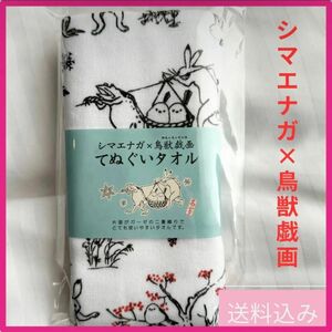 入手困難《北海道限定》シマエナガ×鳥獣戯画コラボ　レア　てぬぐいタオル