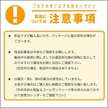 イスズ ギガ フォワード 日本光軸仕様 クリスタル ヘッドライト 左右セット 純正タイプ 1994年から ランプ ライト ヘッドランプ ISUZU_画像7