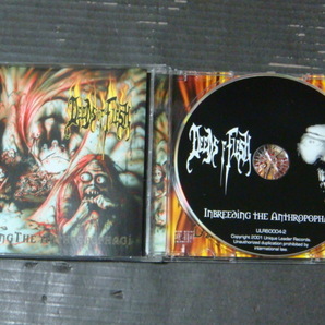 DEEDS OF FLESH/ディーズ・オブ・フレッシュ「TRADING PIECES」「INBREEDING」「REDUCED」「OF WHAT'S TO」「PORTALS TO CANAAN」CDの画像6