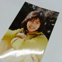 ★ 当時モノ 芳本美代子 生写真D みっちょん 昭和アイドル 80年代_画像3