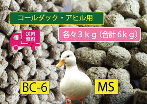 ★たっぷり【アヒル・コールダック用飼育飼料セット】2種3ｋｇずつ6kg水禽・カモ用