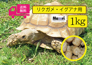 ※送料無料・最安値に挑戦【マズリMazuri】5M21 トータスダイエット リクガメ用フード　1ｋg　paypayフリマ　匿名配送