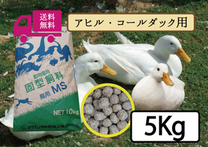 ※【期間限定SALE大特価】送料無料 【アヒル・コールダック用飼料・ペレット】5kg 　オリエンタル酵母工業MS