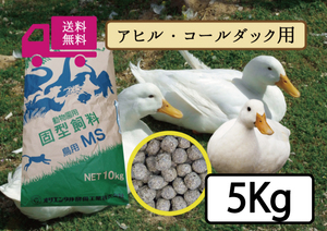 [ limited time SALE great special price ]* free shipping [a Hill * call Duck for . charge *pe let ]5kgolientaru yeast industry MS