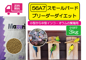 [ время ограничено SALE сильно сниженная цена ] длиннохвостый попугай размножение для . стоимость mazli56A7 маленький bird спускной клапан диета 3kg