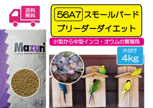 ※【期間限定SALE大特価】インコ繁殖用飼料 マズリ 56A7 スモールバードブリーダーダイエット 4ｋｇ