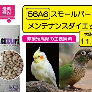 【※期間限定SALE大特価】インコ用飼料 マズリ 56A6 スモールバード メンテナンス ダイエット 11.3ｋｇ