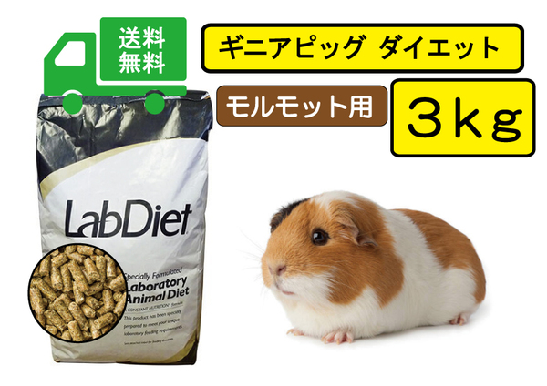 【※期間限定SALE大特価】送料無料3ｋｇ【ラブダイエット5025】モルモット用フード ギニアピッグダイエット lab diet