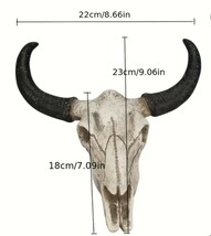 スカルホーン　バッファローの頭蓋骨　壁掛け、置物にカッコいいです！　　ネイティブ系、ウェスタン、インディアン系のインテリアに最強_画像3