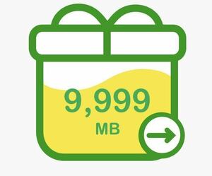 mineo 約10GB（9999MB）パケットギフト マイネオ まいねお ポイント消化に