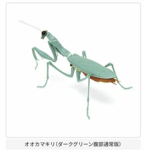 【内袋未開封新品】いきもの大図鑑 かまきり02 オオカマキリ ダークグリーン 腹部通常版 かまきり　バンダイ