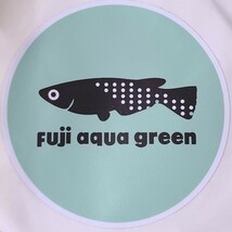 Fuji Aqua Green様で購入した上物な親から産まれた個体　ミットナイトフリル漆黒タイプ15匹　ミットナイトフリルラメタイプ15匹稚魚～幼魚_画像3