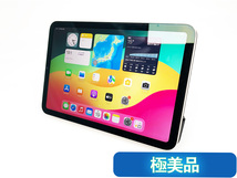 【極美品】Apple iPad mini6 64GB スターライト Wi-Fiモデル MK7P3J/A_画像2