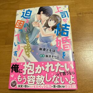 上司が結婚を迫るので困っています！　私とアナタの境界線 （乙女ドルチェ・コミックス　カ４－０２） 珈倉ともは／著　伽月るーこ／原作