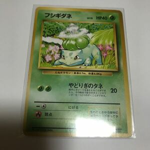 ポケモンカード 旧裏面 マークなし フシギダネ 管理番号001