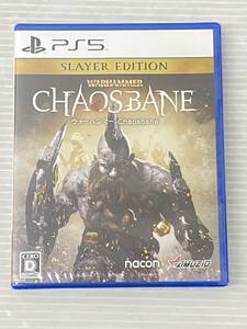 PS5ソフト ウォーハンマー：Chaosbane Slayer Edition [PlayStation 5] 未開封品 syps5071498