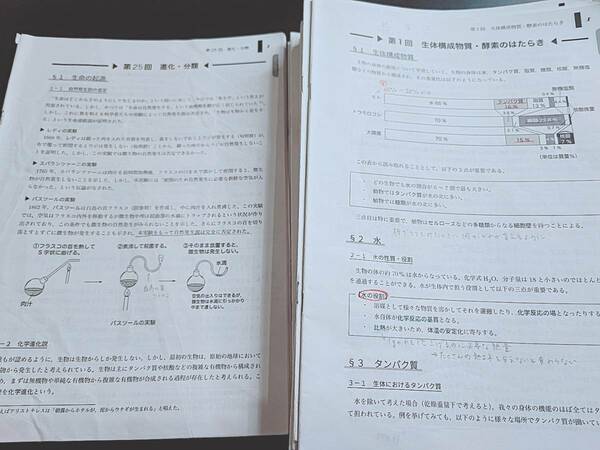 鉄緑会　李・柳沼先生　高3生物発展講座　講義冊子　フルセット　上位クラス　河合塾　駿台　鉄緑会　Z会　東進