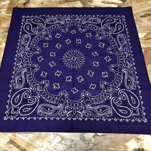 HAV-A-HANK PAISLEY BANDANA MADE IN USA A 832