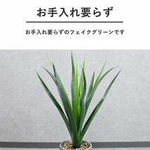 【限定送料無料】フェイクグリーン 観葉植物 アウトレット家具【新品 未使用 展示品】KEN_画像2