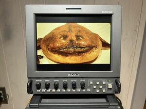 SONY マルチフォーマット LMD-9050 中古美品