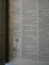 豪華革装２巻本 オーグルビー英語辞書 The Comprehensive English Dictionary. By John Ogilvie. 1865 2vols. London: Blackie._画像5