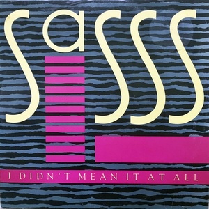 【Disco 12】Sasss / I Didn't Mean It At All 