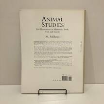 240218洋書デザイン資料「ANIMAL STUDIES」M.Meheut★動物のイラスト集 古書 アートブック 美術書 レトロ 画集 希少 美品_画像2