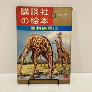 240225講談社の絵本ゴールド版38「動物画集(2)」昭和35年初版★黒崎義介 古賀亜十夫 小島直 矢車涼★昭和レトロ当時物希少漫画