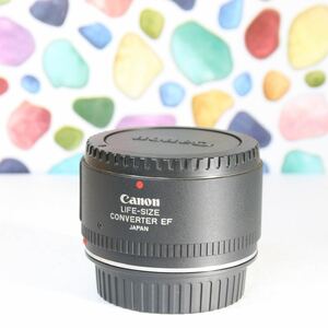 ◇Canon キャノン LIFE-SIZE CONVERTER EF ◇美品