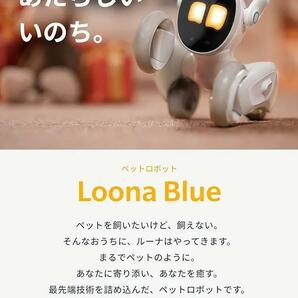 Loona (ルーナ) Blue ロボット ペット 会話 chatGPT コミニケーション 犬 猫 AI搭載 最新 の画像3