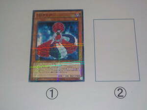 遊戯王　SD30　DDラミア　パラレル中古です。