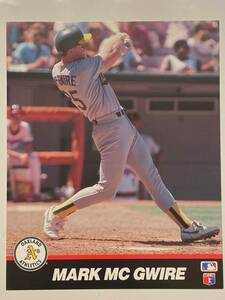 1989 Mark McGwire MLB Licensed Sports Action Photo Oakland Athletics 8" x 10" 海外 即決