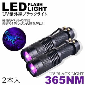 2個 紫外線ライト LED 365nm UVライト ブラックライト 片手 サイズ 小型 ジェルネイル レジン 硬化 汚れ確認 エギング ケイムラ 蓄光 ルア