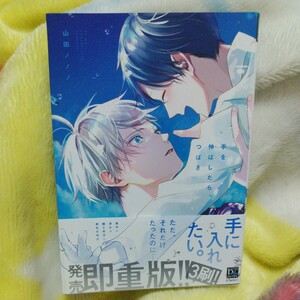 山田ノノノ　手を伸ばしたら、つばさ　ディアプラスコミック