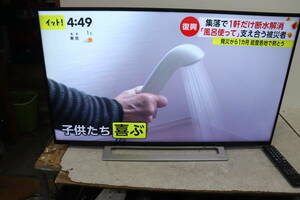 YKB/647 東芝 テレビ REGZA 43M520X 43型 液晶テレビ 2019年製 地上デジタル放送視聴可能 直接引き取り歓迎