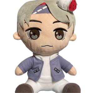 TinyTAN タイニータン スペシャルおすわりぬいぐるみ V ぬいぐるみ Sweet Time BTS